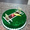 cricket theme cake