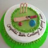 cricket theme cake