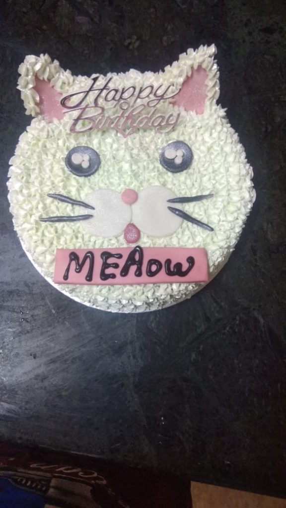 CAT FACE CAKE BRO N ME BAKERY