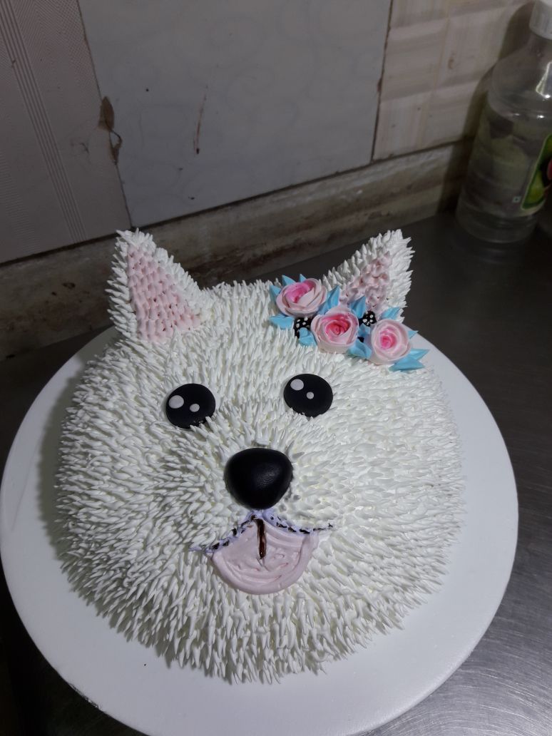 DOG FACE CAKE – BRO N ME BAKERY